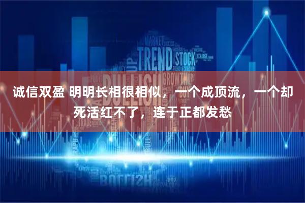 诚信双盈 明明长相很相似，一个成顶流，一个却死活红不了，连于正都发愁
