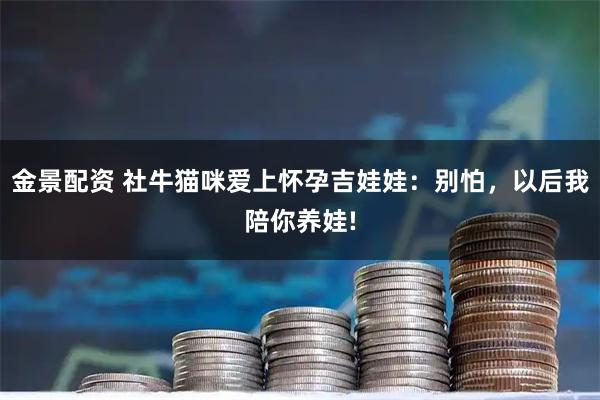金景配资 社牛猫咪爱上怀孕吉娃娃：别怕，以后我陪你养娃!